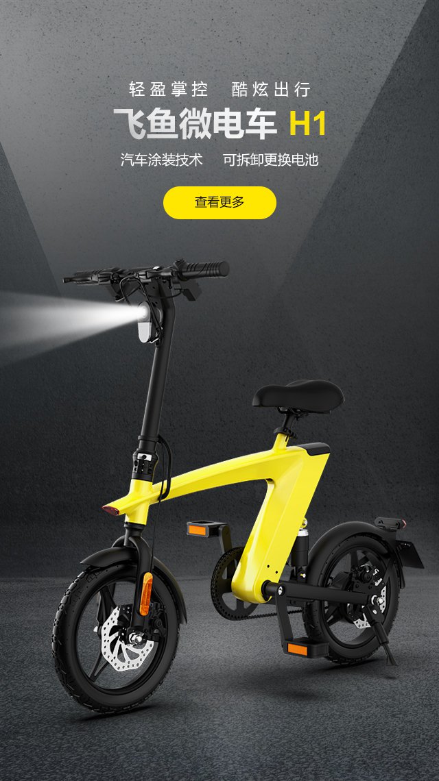 飛(fēi)魚微(wēi)電(diàn)車(chē)H1
